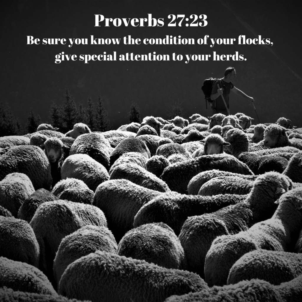 Proverbs 27:23