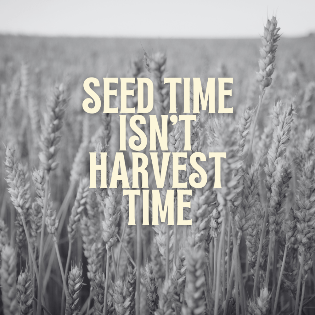 Seed Time Isn’t Harvest&nbsp;Time